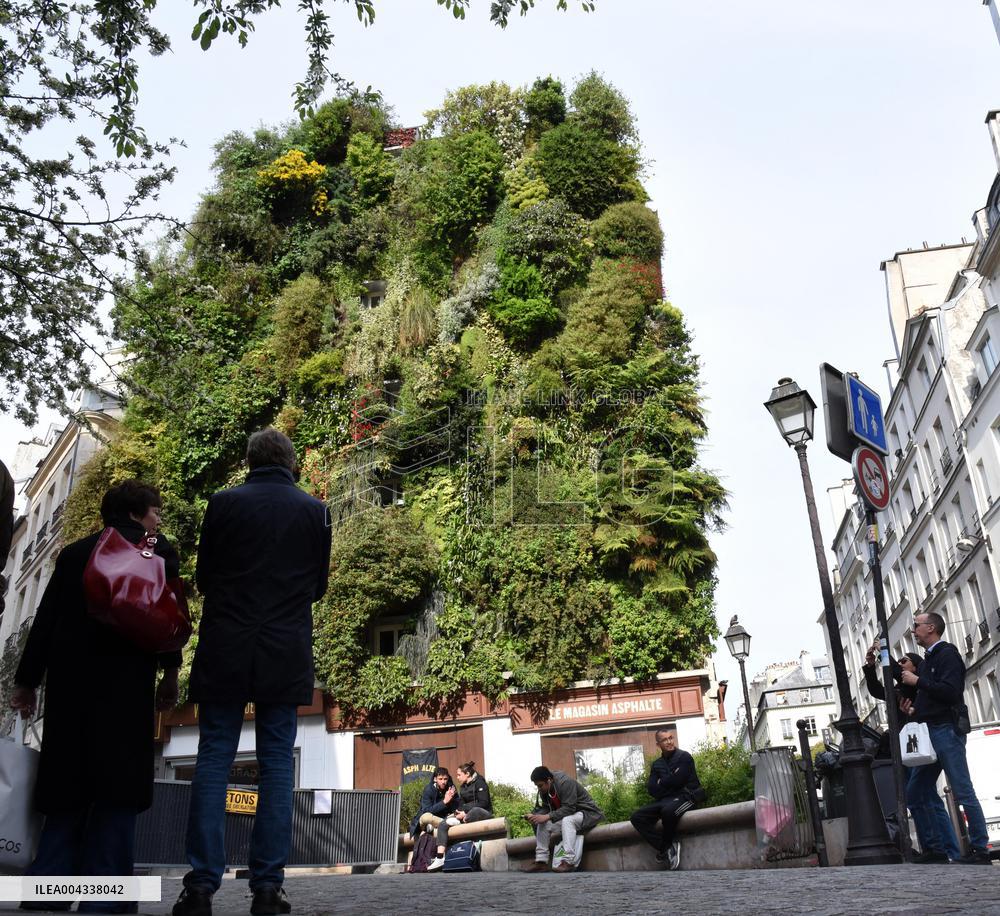 Green Wall - Paris