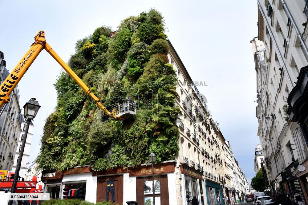 Green Wall - Paris