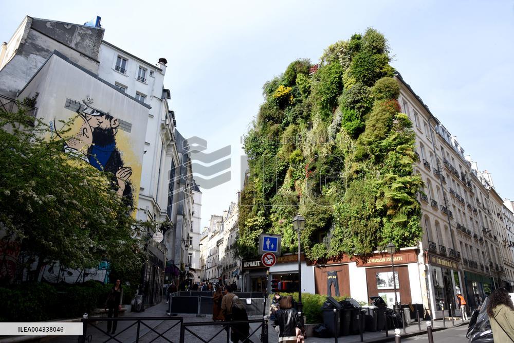 Green Wall - Paris