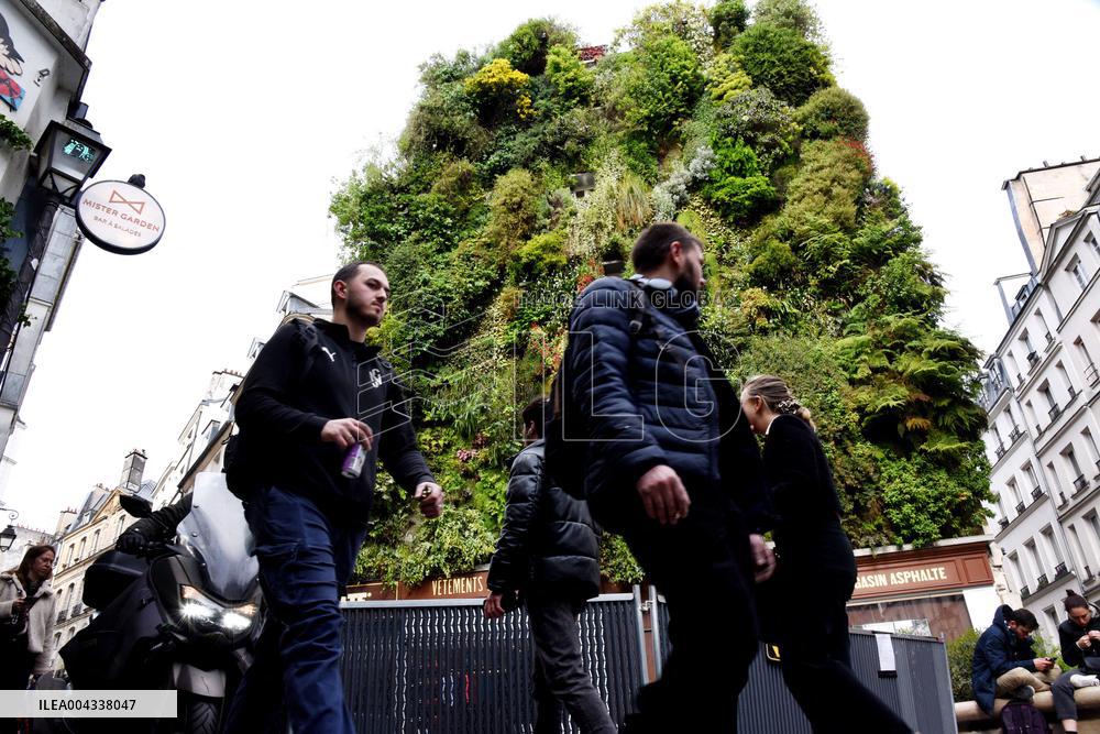 Green Wall - Paris