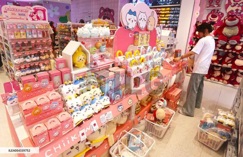 Goods Economy in China