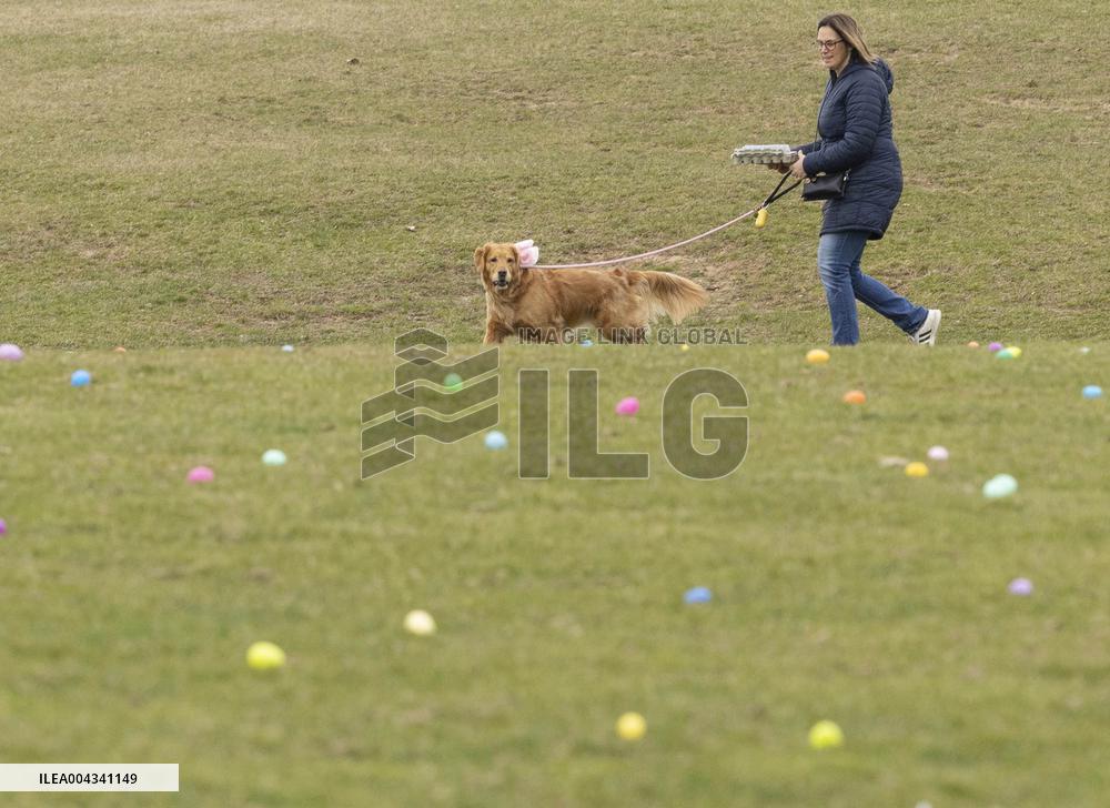 Easter Egg Hunt for Dogs - Canada