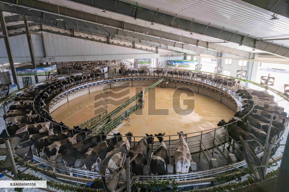 Yili Modern Intelligent Health Valley - Inner Mongolia