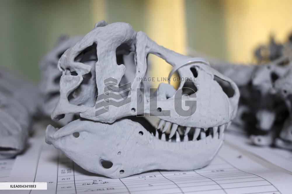 Paleontological Restoration Production in Binzhou