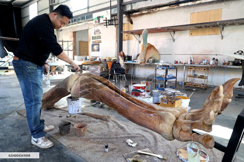 Paleontological Restoration Production in Binzhou