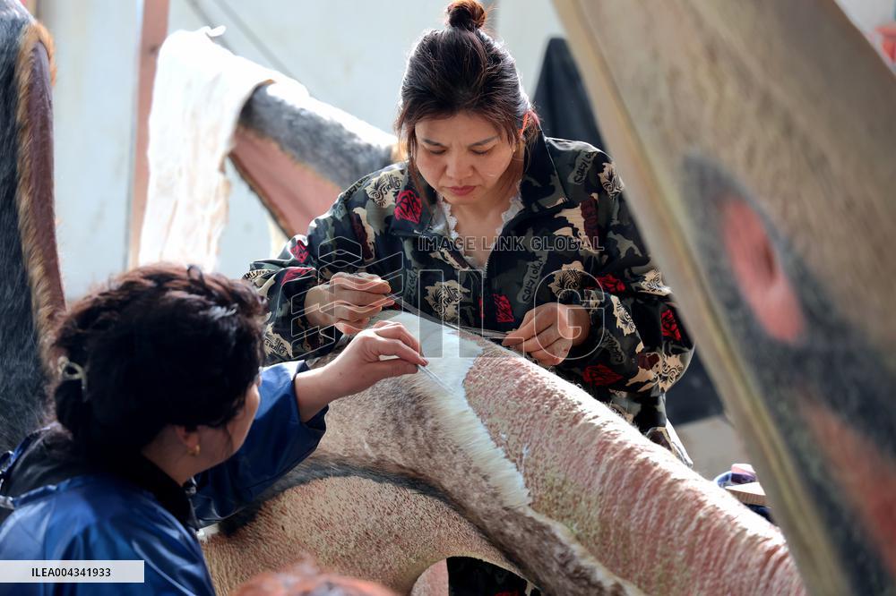 Paleontological Restoration Production in Binzhou