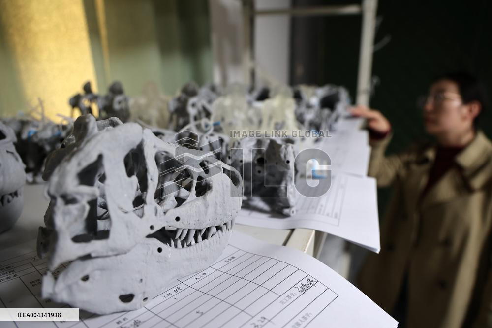 Paleontological Restoration Production in Binzhou