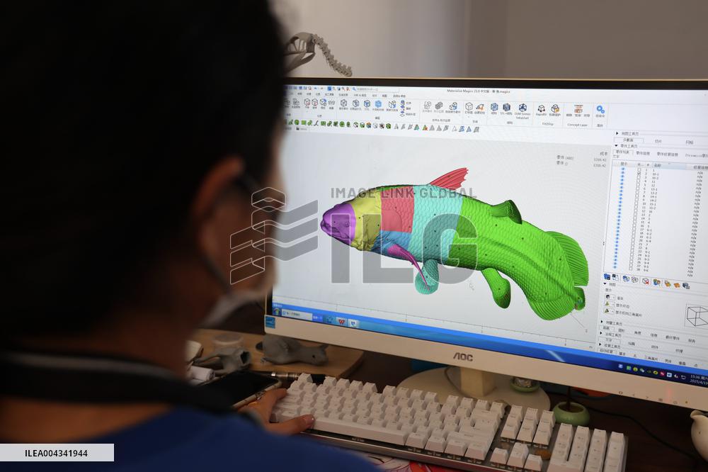 Paleontological Restoration Production in Binzhou