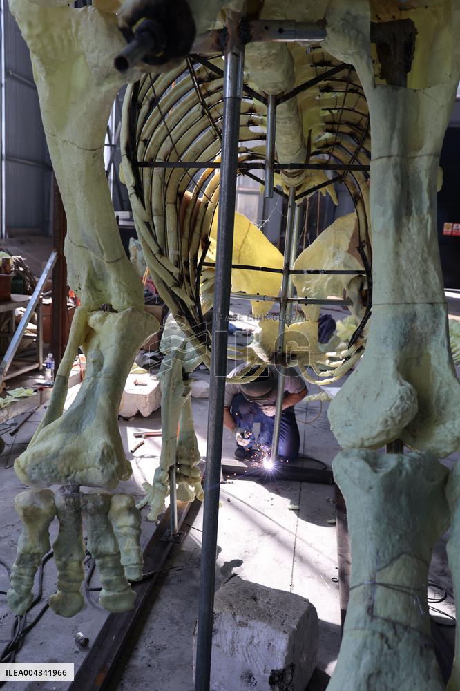 Paleontological Restoration Production in Binzhou