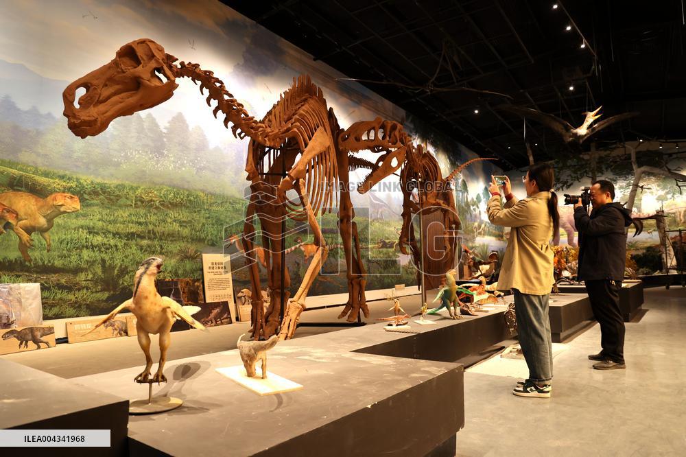 Paleontological Restoration Production in Binzhou