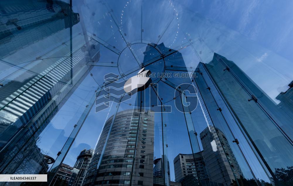 Apple 2025 Q1 Sales Decline