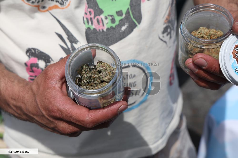 420 Celebration In Washington Square Park