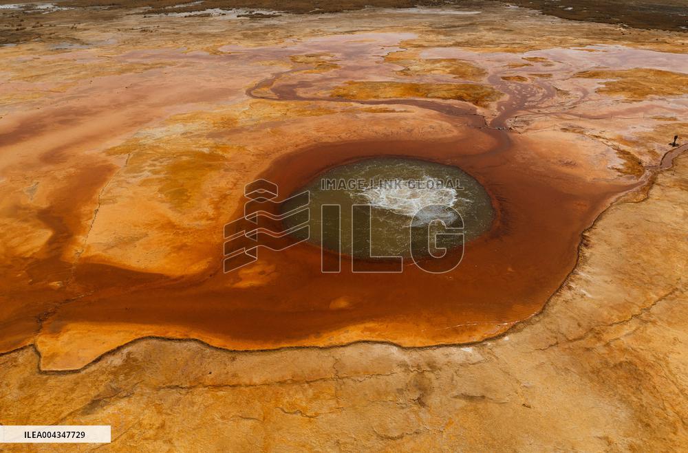 Aiken Spring - China