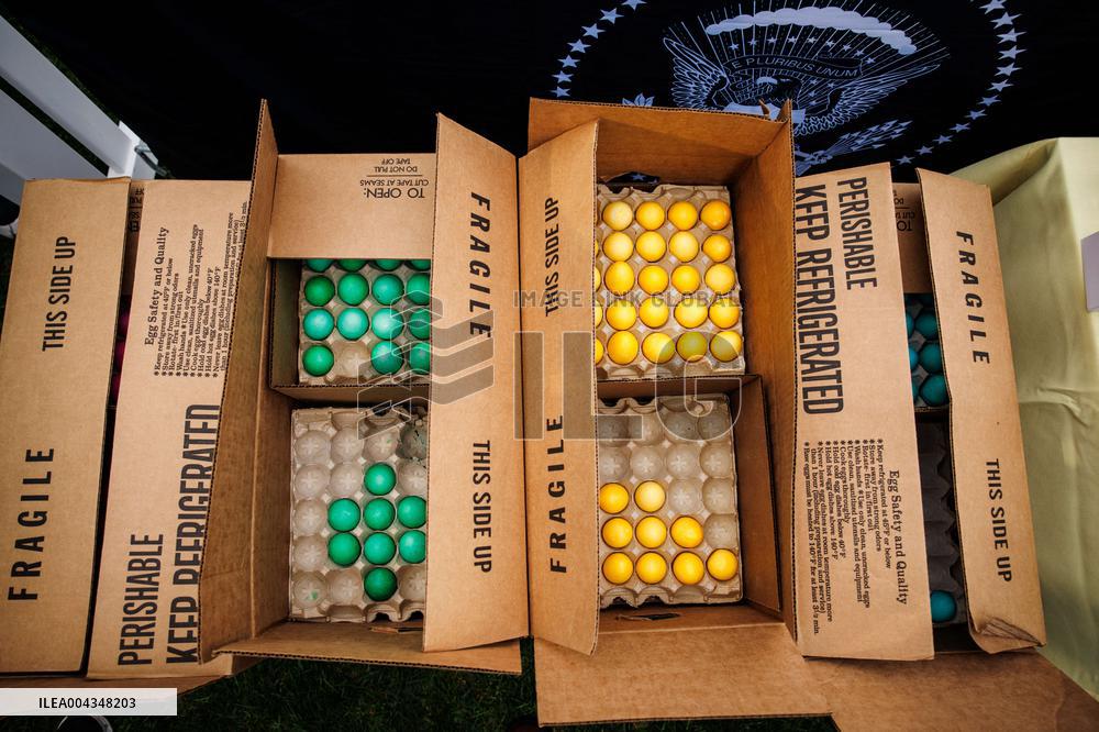 DC: 2025 White House Easter Egg Roll Preview