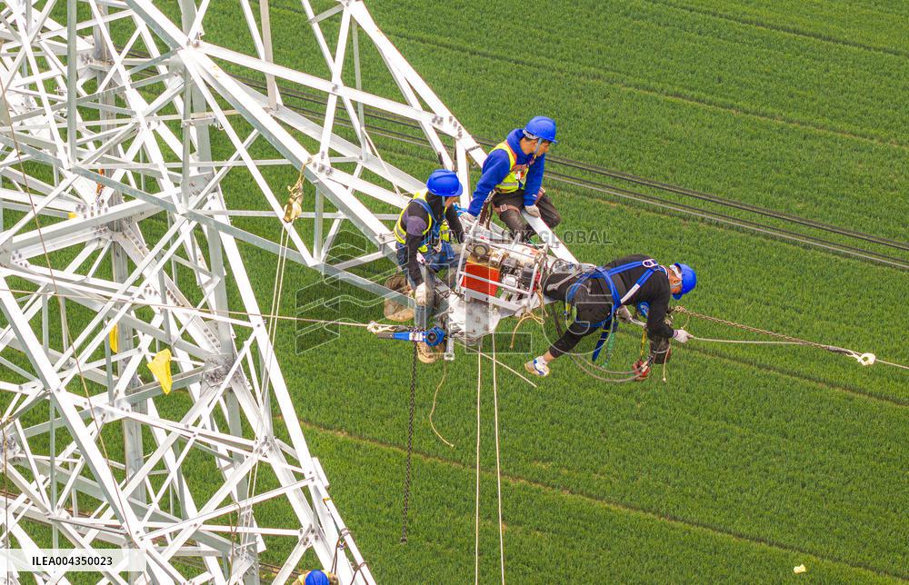 Power Grid Structure Optimization