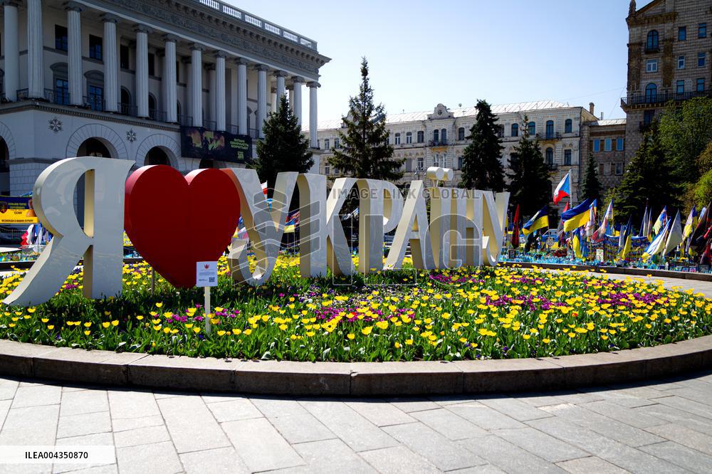 Tulips in full blossom in Kyivs Maidan Nezalezhnosti