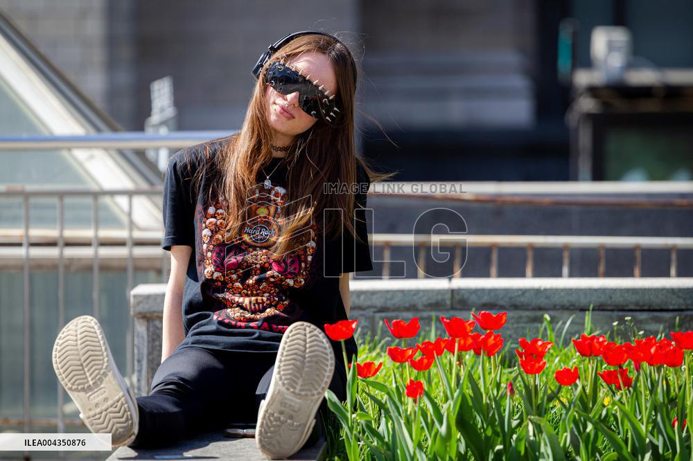 Tulips in full blossom in Kyivs Maidan Nezalezhnosti