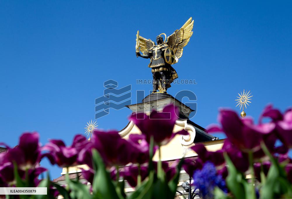 Tulips in full blossom in Kyivs Maidan Nezalezhnosti