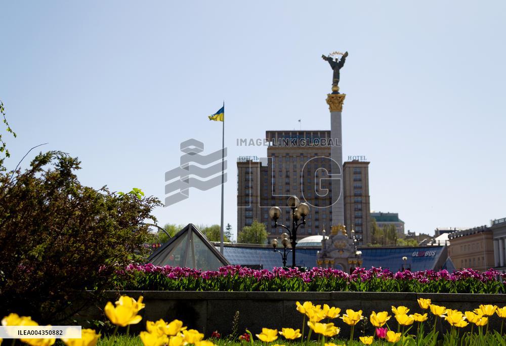 Tulips in full blossom in Kyivs Maidan Nezalezhnosti