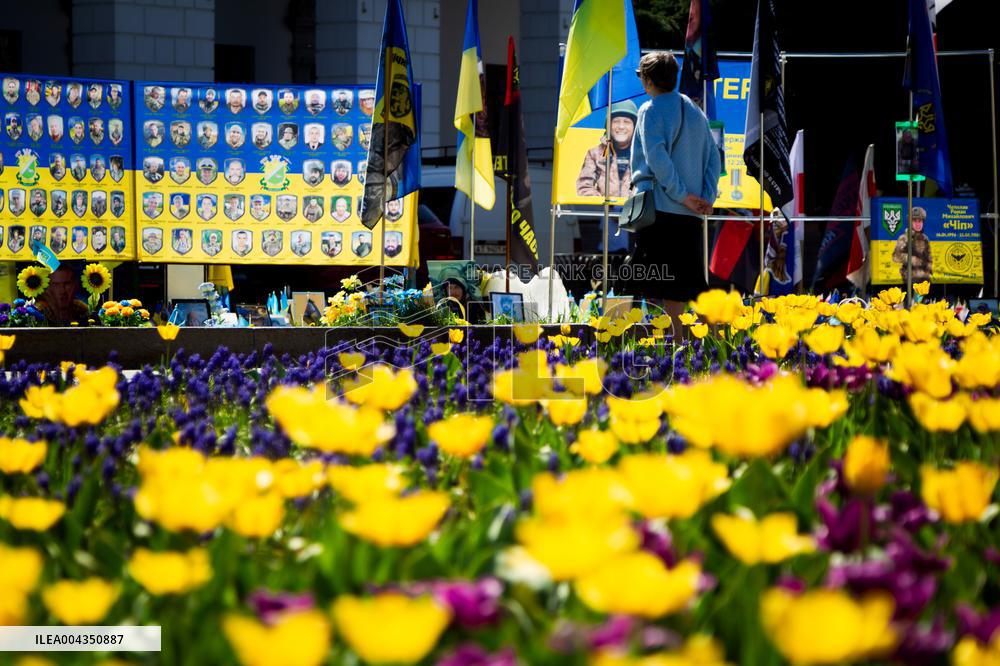 Tulips in full blossom in Kyivs Maidan Nezalezhnosti