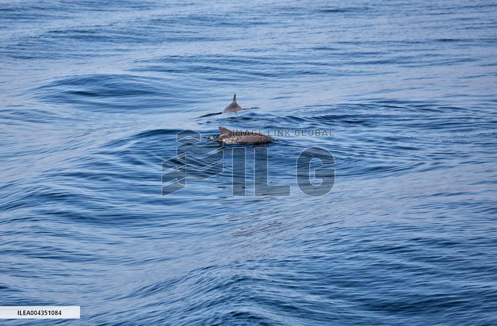 Ukrainian Navy on patrol in Black Sea off Odesa coast