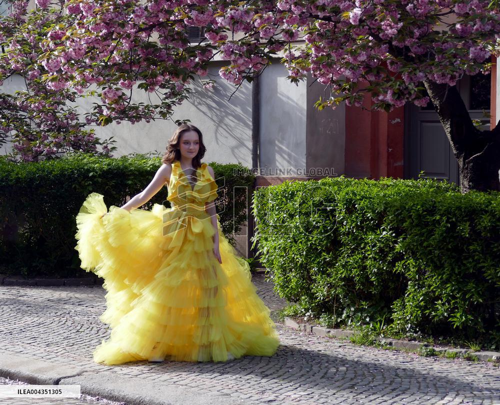 Cherry trees bloom in Uzhhorod