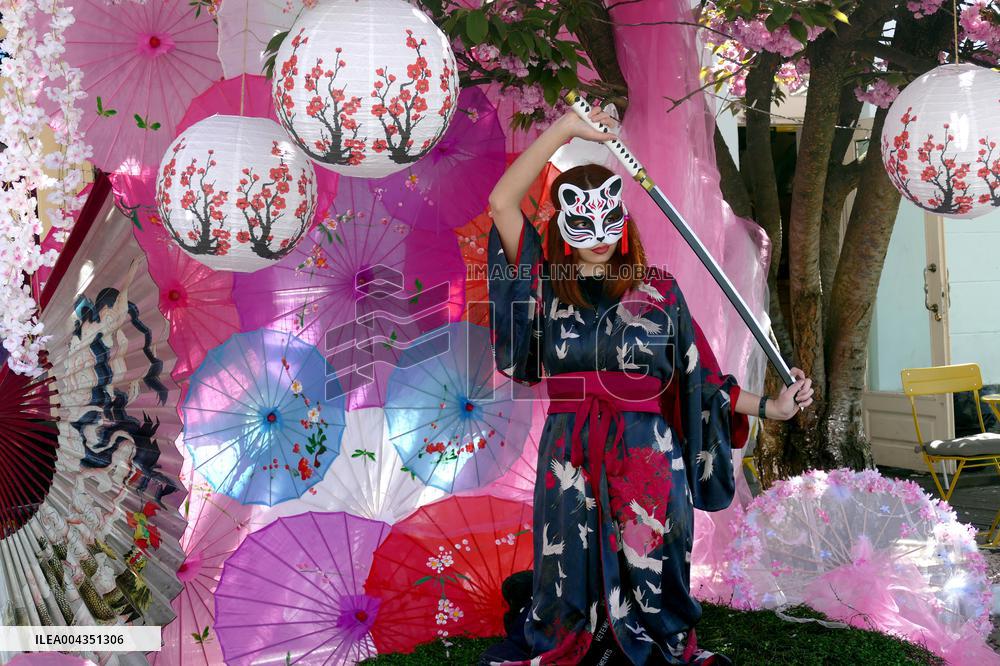 Cherry trees bloom in Uzhhorod