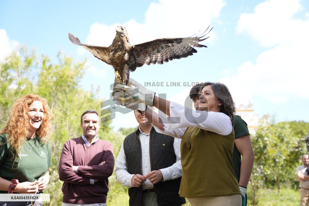 Royal At The Lunch Ceremony for Miguel De Cervantes Awards - Madrid