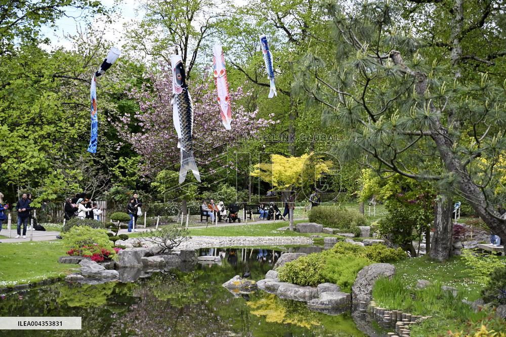 Japanese garden in London