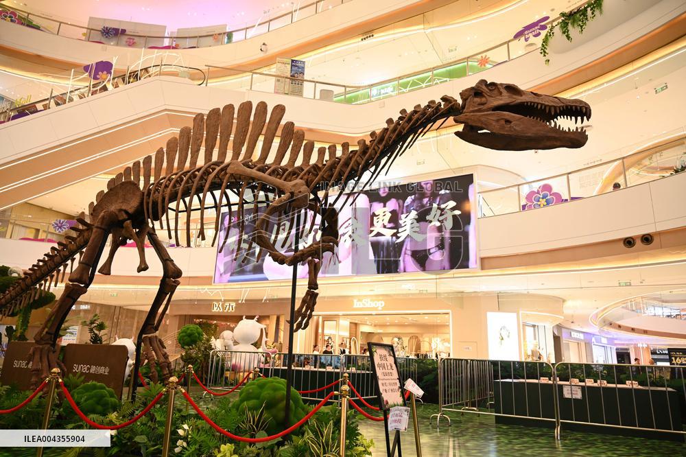 RestoredDinosaur Skeletons in A Shopping Mall in Nanning