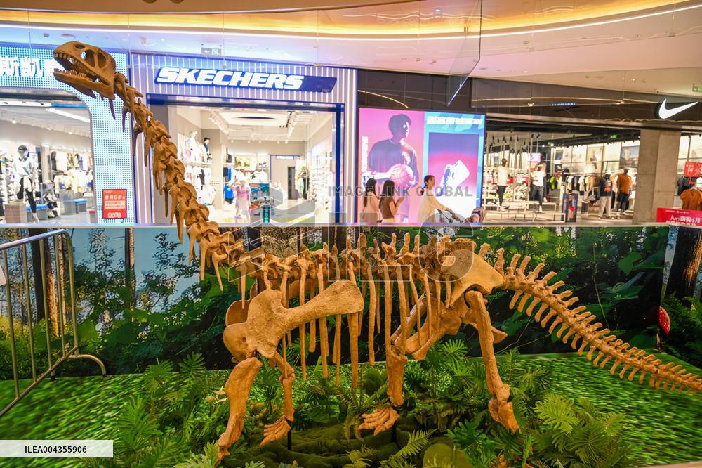 RestoredDinosaur Skeletons in A Shopping Mall in Nanning