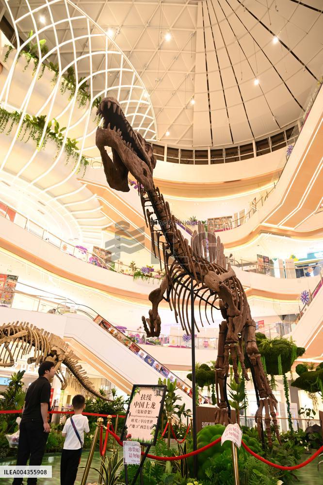 RestoredDinosaur Skeletons in A Shopping Mall in Nanning