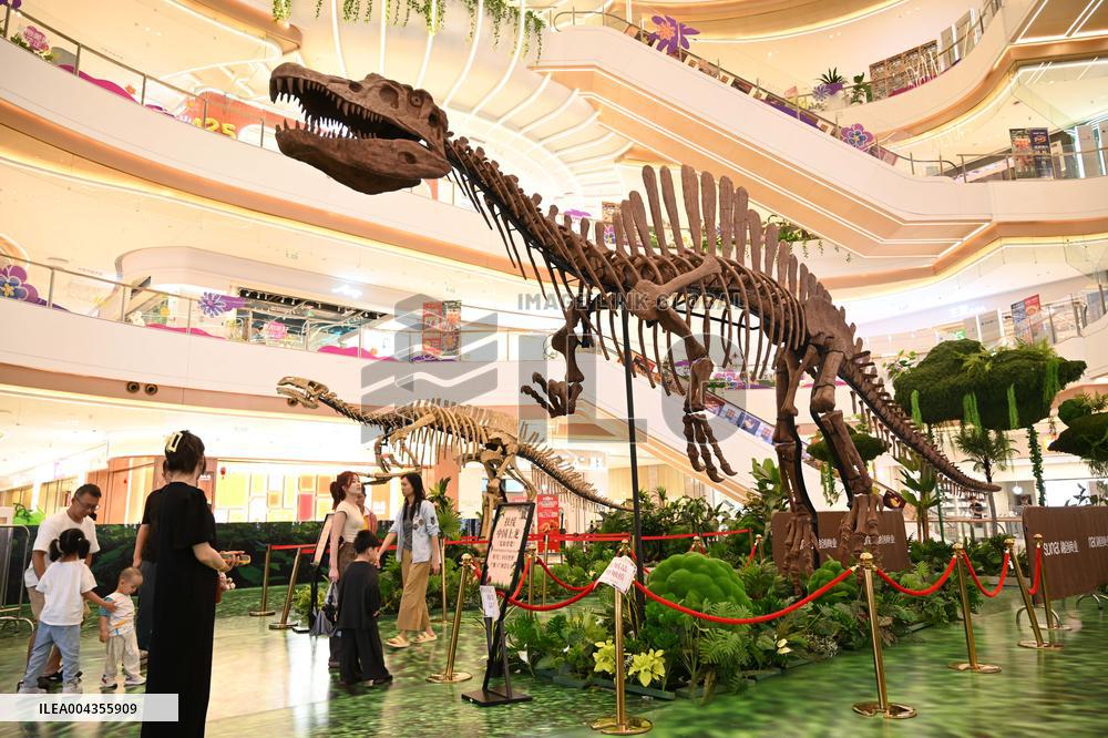 RestoredDinosaur Skeletons in A Shopping Mall in Nanning