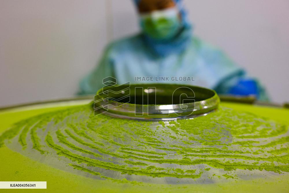 Mount Fanjing Matcha Industry - China