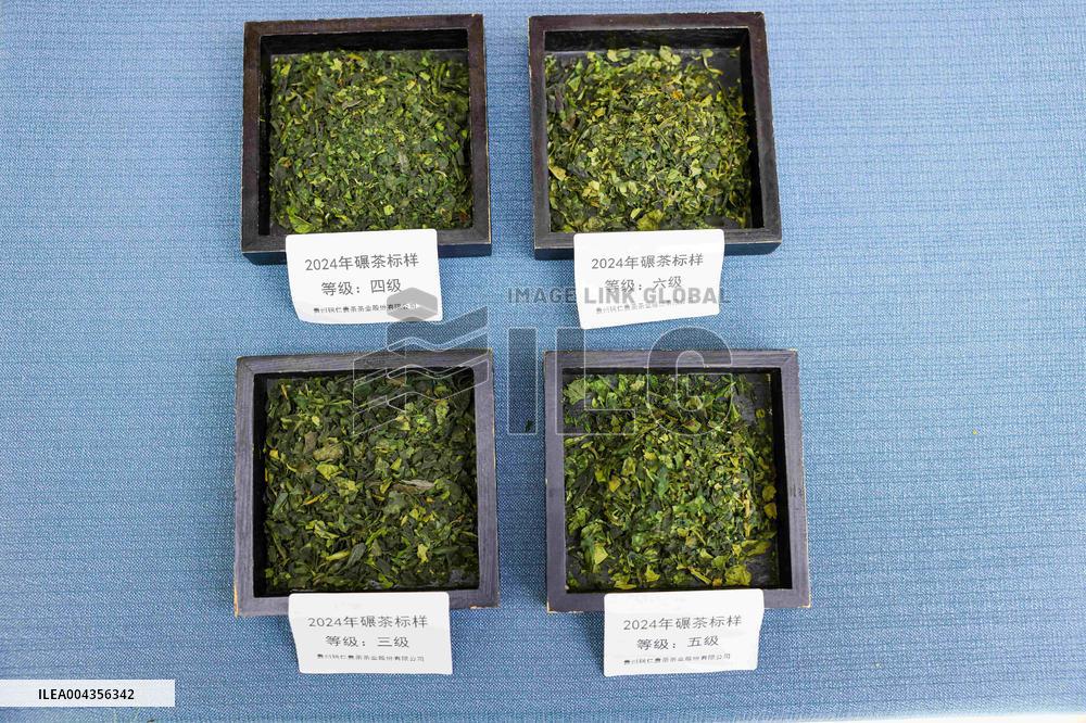 Mount Fanjing Matcha Industry - China