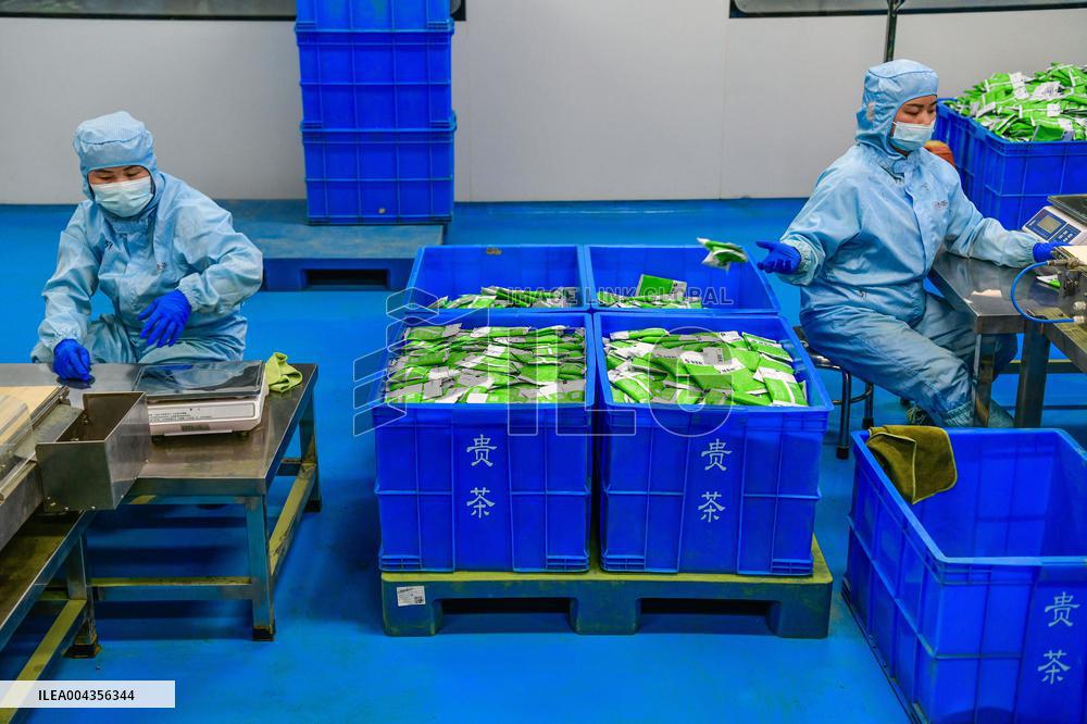 Mount Fanjing Matcha Industry - China