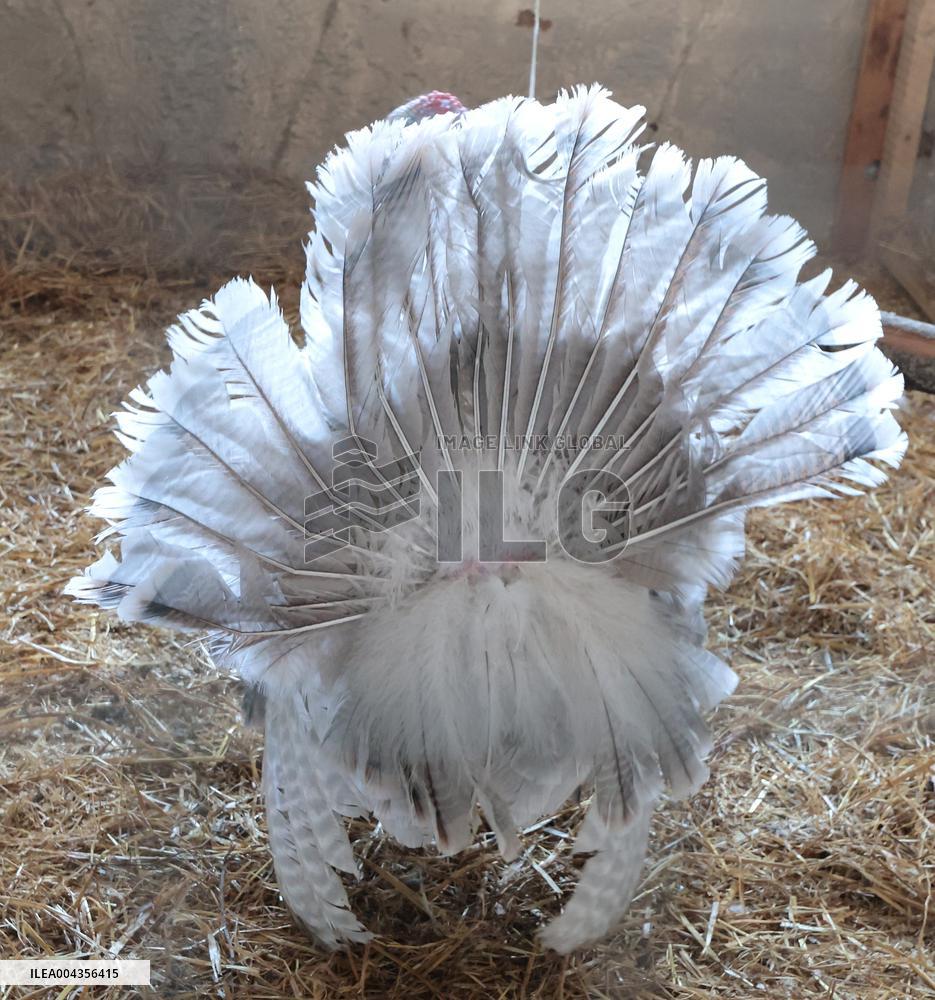 Estonian Agricultural Museum