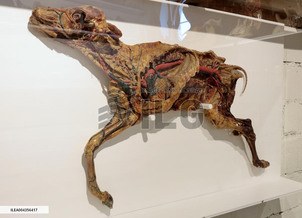 Estonian Agricultural Museum