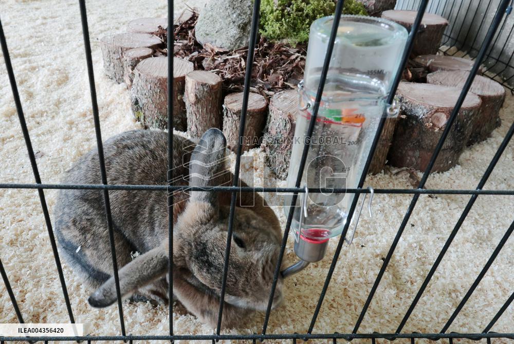 Estonian Agricultural Museum
