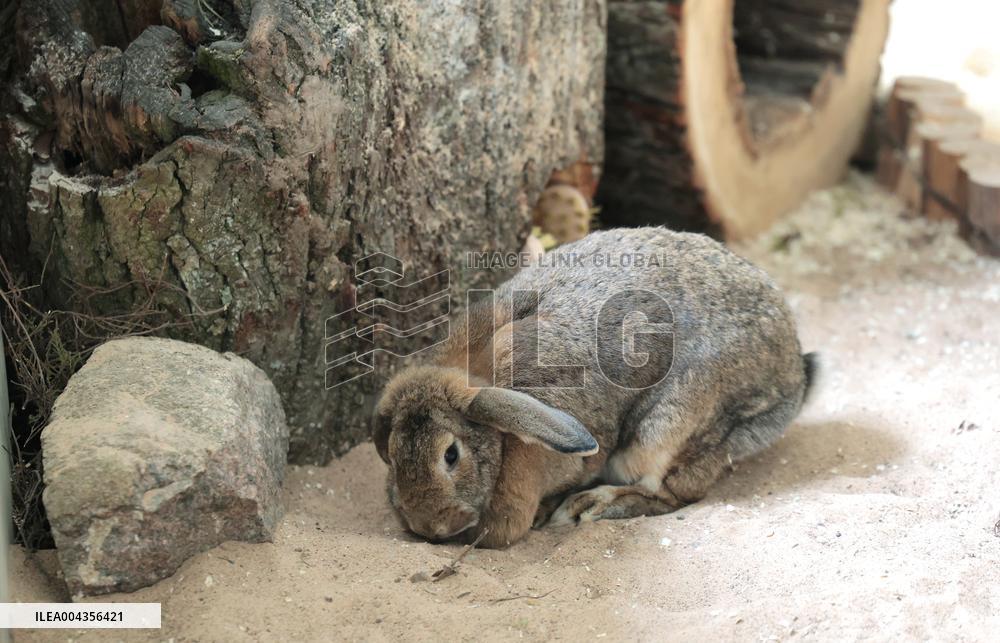 Estonian Agricultural Museum