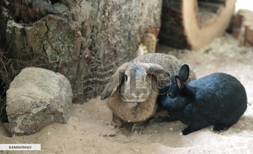 Estonian Agricultural Museum