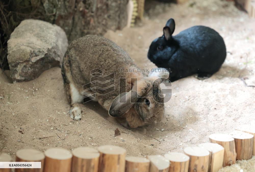 Estonian Agricultural Museum