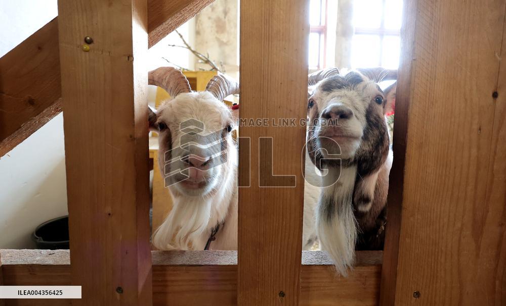Estonian Agricultural Museum
