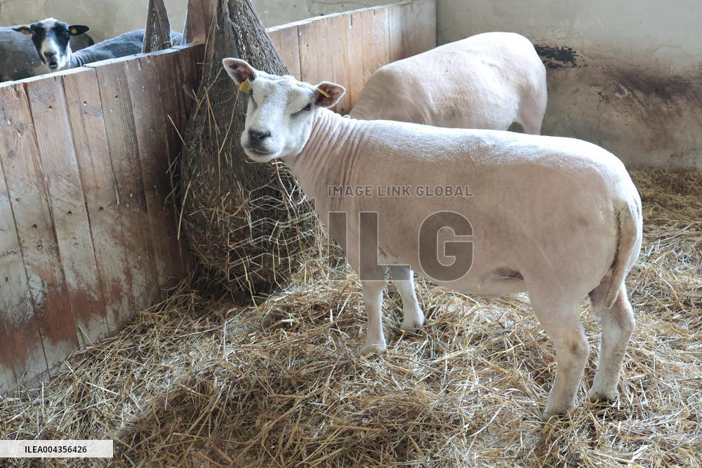 Estonian Agricultural Museum