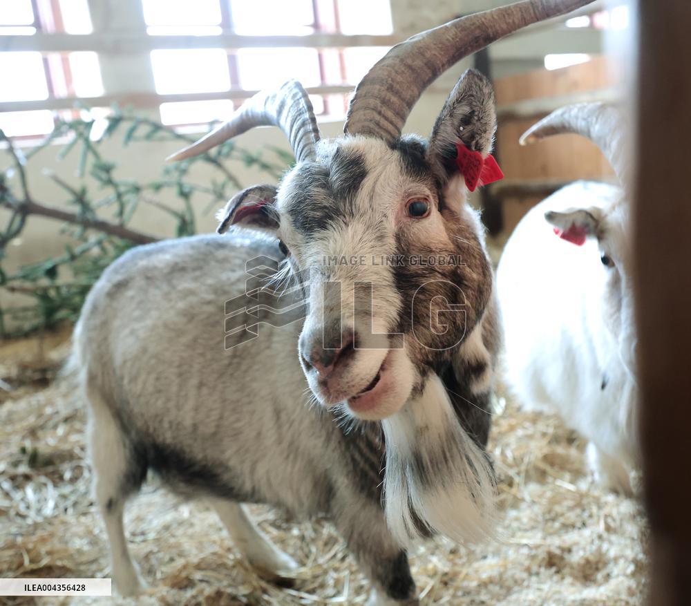 Estonian Agricultural Museum