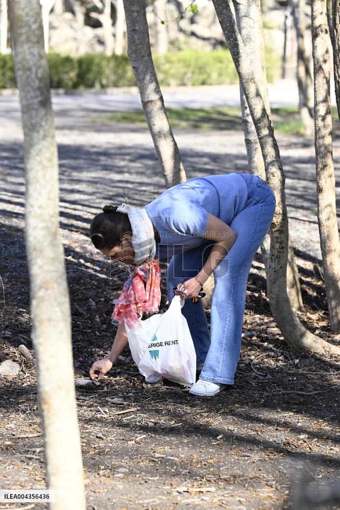 CROWN PRINCESS PICKS LITTER