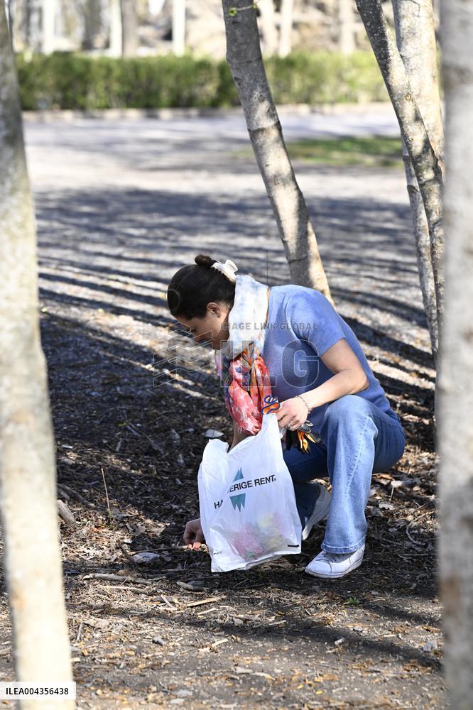 CROWN PRINCESS PICKS LITTER