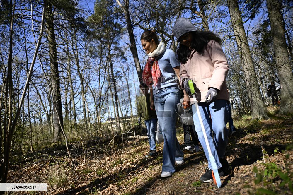 CROWN PRINCESS PICKS LITTER