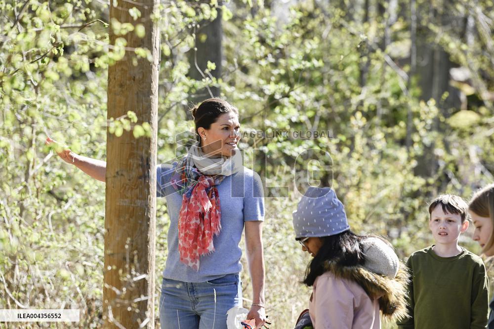 CROWN PRINCESS PICKS LITTER