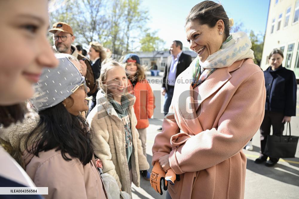 CROWN PRINCESS PICKS LITTER